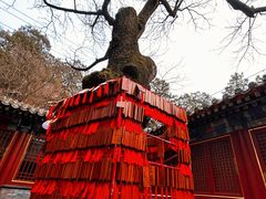 -潭柘寺景区