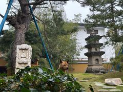 -龙华寺