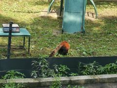 -哈尔滨北方森林动物园