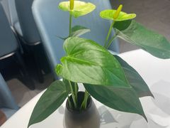 -眉州东坡(清河万象汇店)