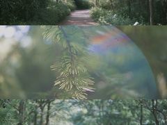 -西湖风景区-江洋畈生态公园