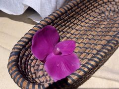 -Dragonfly悠庭·按摩Spa(浦东嘉里城店)