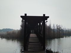 -同里国家湿地公园