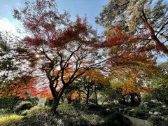 -浙江西子宾馆·瑶园咖啡厅