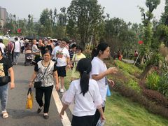 -枫香湖儿童公园