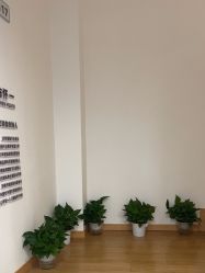 -玛尼瑜伽·普拉提