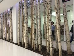-极简口腔(总院)