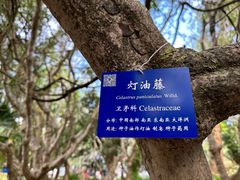 -中国科学院西双版纳热带植物园