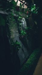 -红人馆造型世爵国际