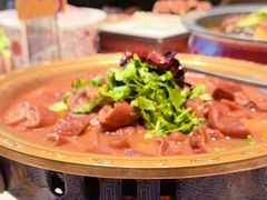 -真地道京味府·鲜橙烤鸭·北京菜(朝外大街东大桥店)