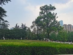 -塔子山公园