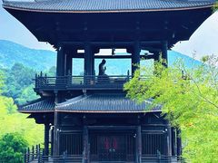 -大唐贡茶院