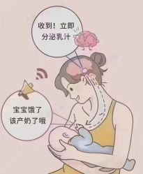 -瑞晨曦催乳产后健康(枣园店)