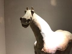 -宁夏博物馆
