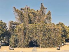-上海月湖雕塑公园