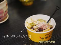 -老牟家牦牛酸奶