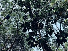 -昆明动物园
