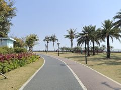 -野狸岛