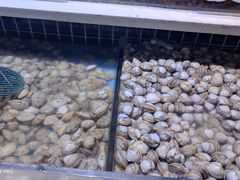 -聚盛源蒸汽海鲜火锅烤肉自助(巨川金海岸购物广场店)