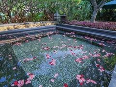 -厦门日月谷温泉渡假村