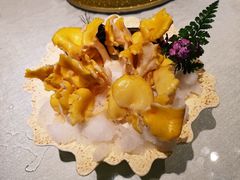 云南野生鸡油菌-最品火锅