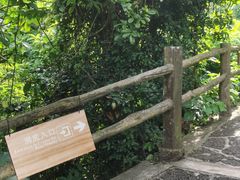 -海口火山口国家地质公园