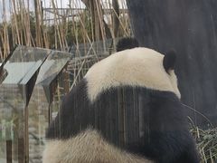 -武汉动物园