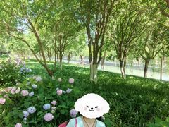 -宝龙城(杭州滨江店)
