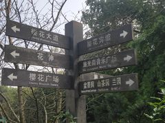 -南山植物园