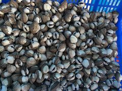 -蚝乡农庄(铁涌赤岸店)