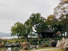 -杭州西湖柳莺里酒店·闻莺厅