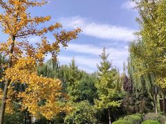 -西安汉城湖景区