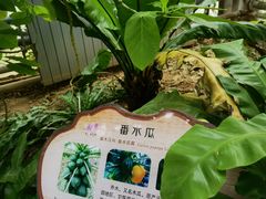 -南山植物园