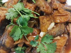 -春水锅贴·传统鲁菜(大明湖店)