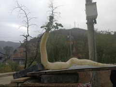 -梁家河村红色旅游区