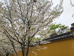 -太平天国侍王府