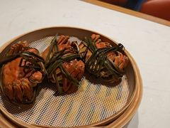 -杨氏青龙虾·羊蝎子(托乐嘉店)