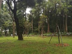-云溪植物园