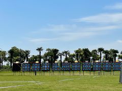 -春花秋色城市公园