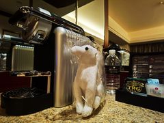 -上海明天广场JW万豪酒店