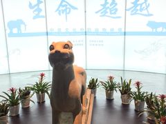 -浙江省博物馆(孤山馆区)