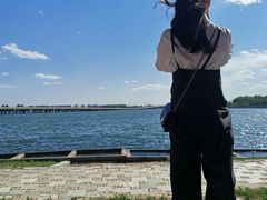 -丁香湖公园