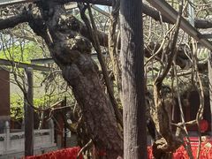 -红螺寺