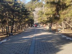 -北陵公园