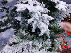 -观澜山水田园