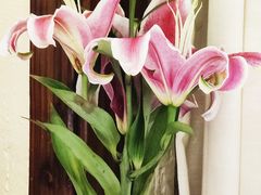 -瑶王府·广西菜(茶花园店)