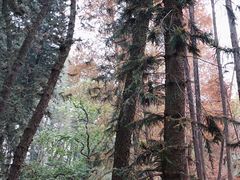 -华南国家植物园-售票处