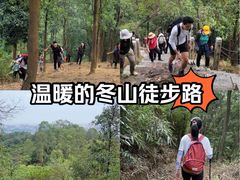 -东莞市大岭山森林公园
