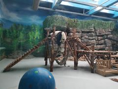 -大青山野生动物园