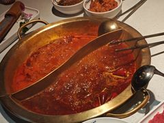 -小龙坎火锅(总店)